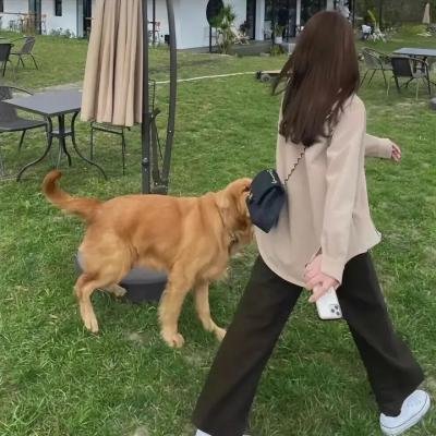 狐妖小红娘月红篇